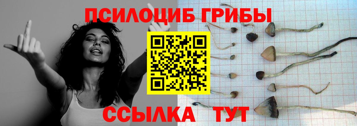Видное  Псилоцибиновые грибы мицелий  Вход с VPN 