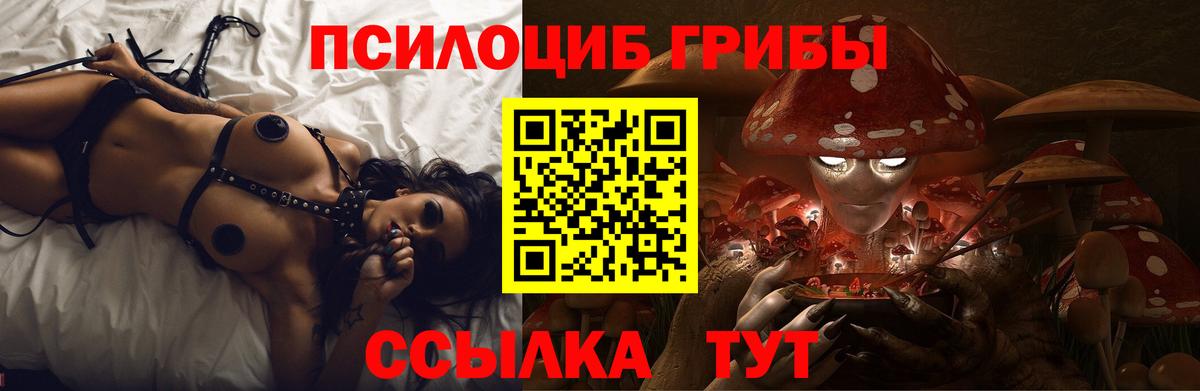 Псилоцибиновые грибы мицелий Видное