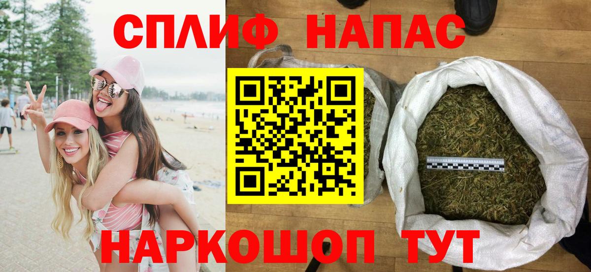 Каннабис OG Kush Видное